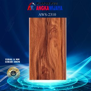 2310-AWS